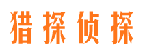 新华市私家侦探